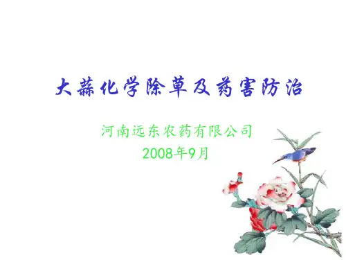 大蒜化学除草与药害