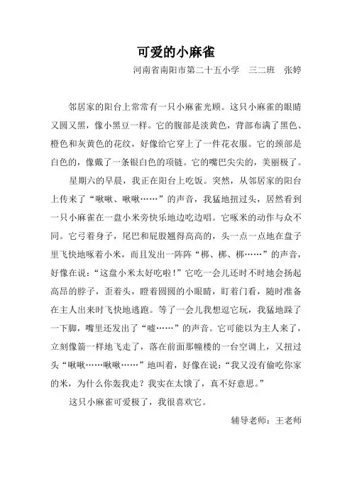 可爱的小麻雀