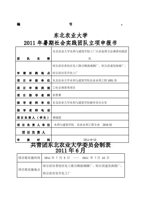 暑期社会实践重点团队立项申报书