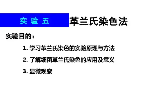 2009-微生物学实验3 革兰氏染色与细菌个体形态的观察