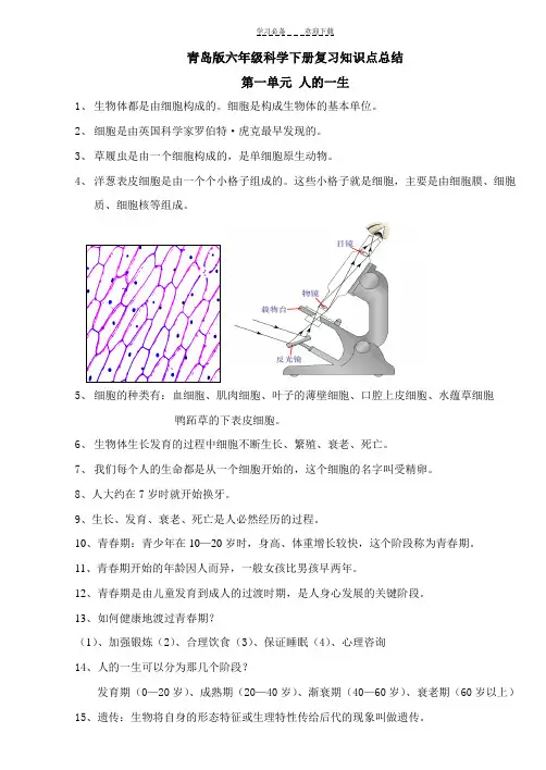 青岛版六年级下册科学全册知识点总结及试题