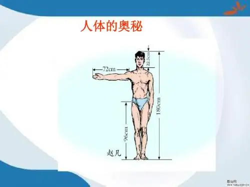 2016最新青岛版数学六年级上册第四单元《人体的奥秘 比》课件2