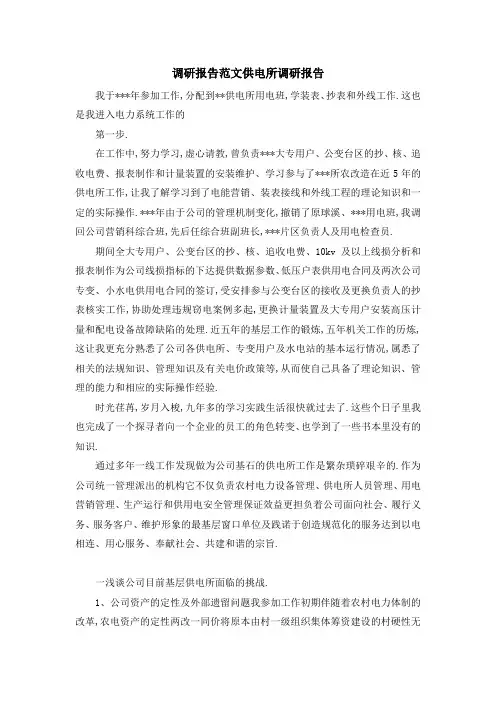 调研报告范文 供电所调研报告 精品
