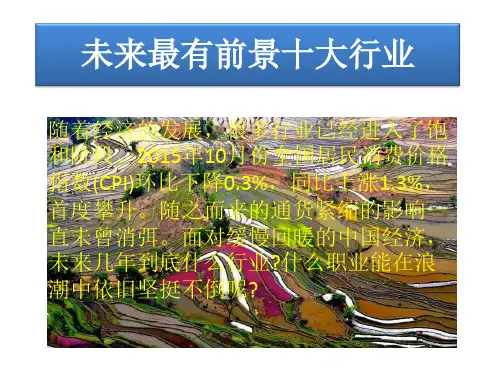 未来最有前景十大行业
