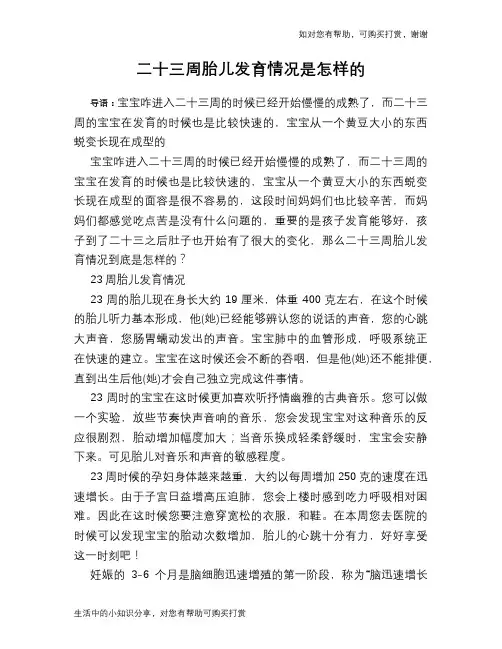 二十三周胎儿发育情况是怎样的