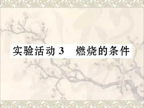 九年级化学上册第7单元燃料及其利用实验活动3燃烧的条件习题课件(新版)新人教版