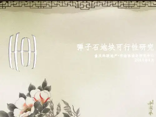 弹子石地块可行性研究报告