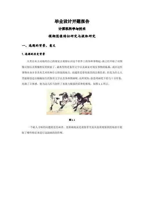 模糊图像特征研究与提取研究【开题报告】