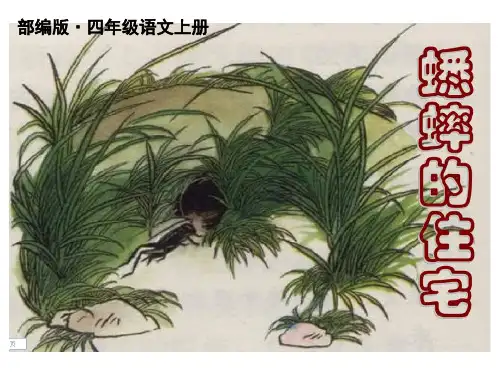 新审定部编版小学四年级语文上册第11课《蟋蟀的住宅》ppt公开课课件(完美)