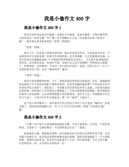 我是小偷作文400字