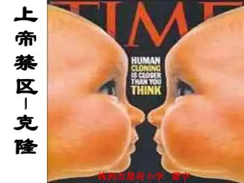 四下-《上帝禁区-克隆》ppt课件