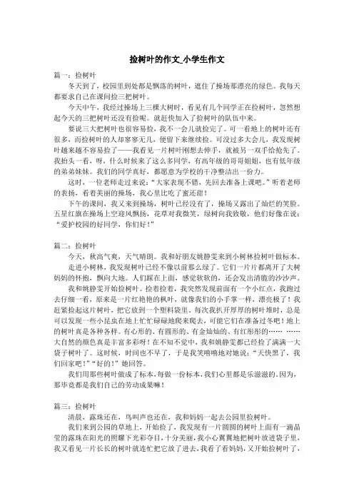 捡树叶的作文_小学生作文