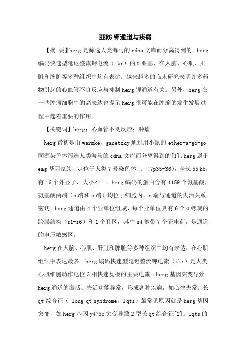 HERG钾通道与疾病