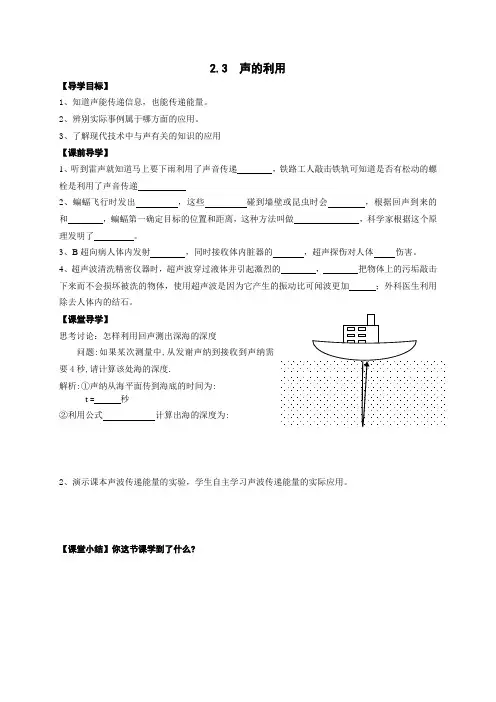 2.3  声的利用导学案