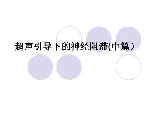 超声引导下的神经阻滞PPT课件