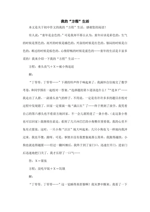 我的“方程”生活_初中作文