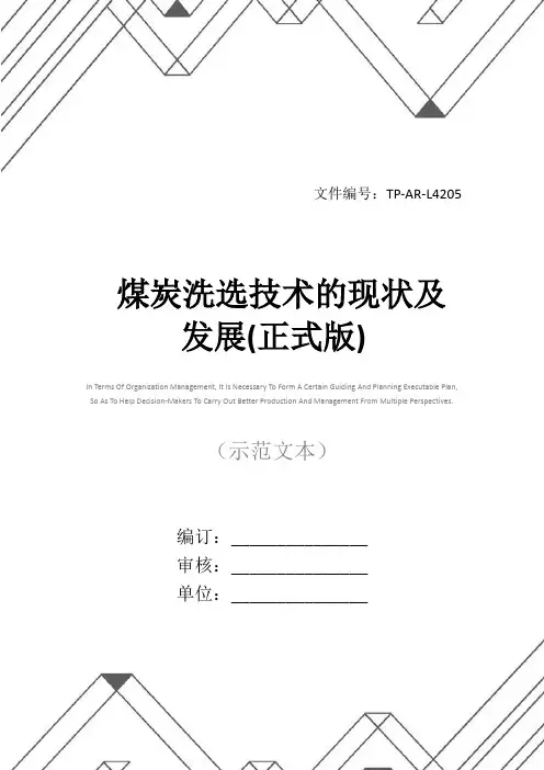 煤炭洗选技术的现状及发展(正式版)
