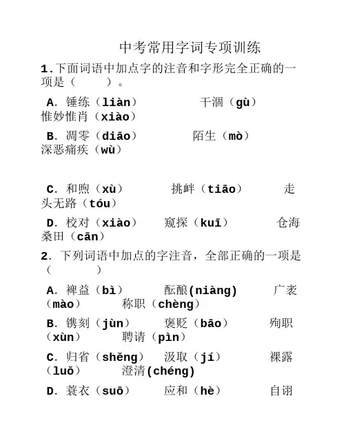 中考常用字词专项训练