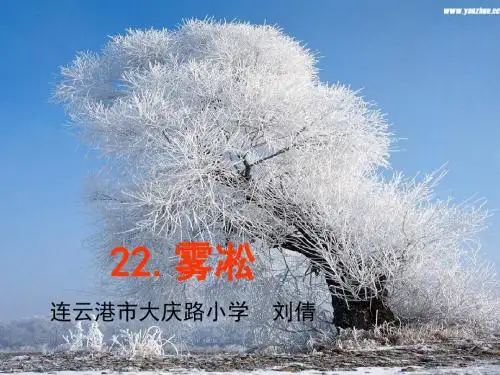 雾凇公开课课件