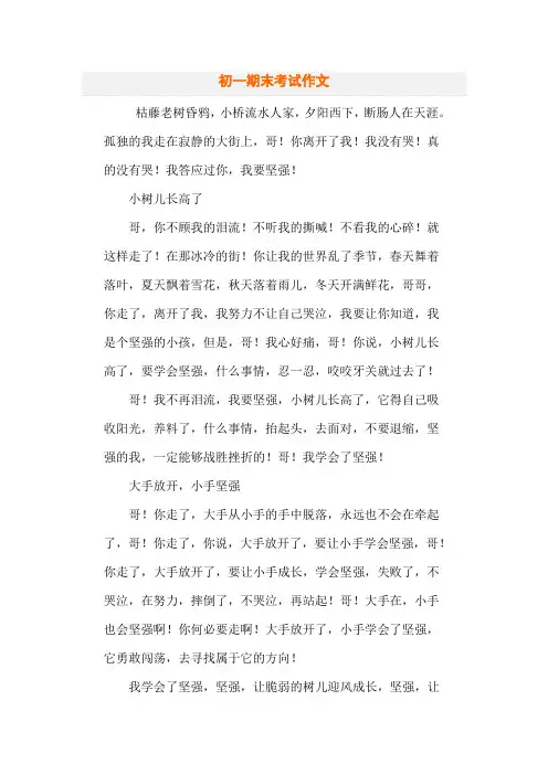初一期末考试作文