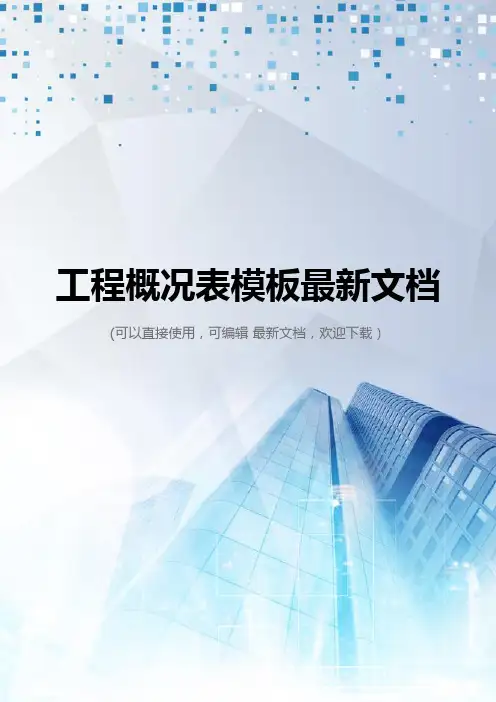 工程概况表模板最新文档