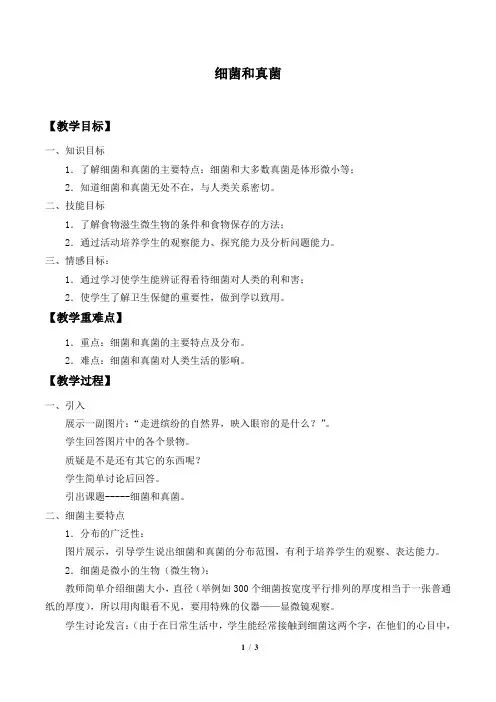 细菌和真菌_教案