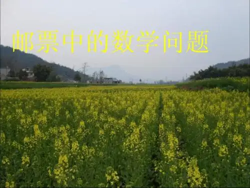 人教版六年级上册第七单元数学广角《邮票里的数学问题》ppt课件
