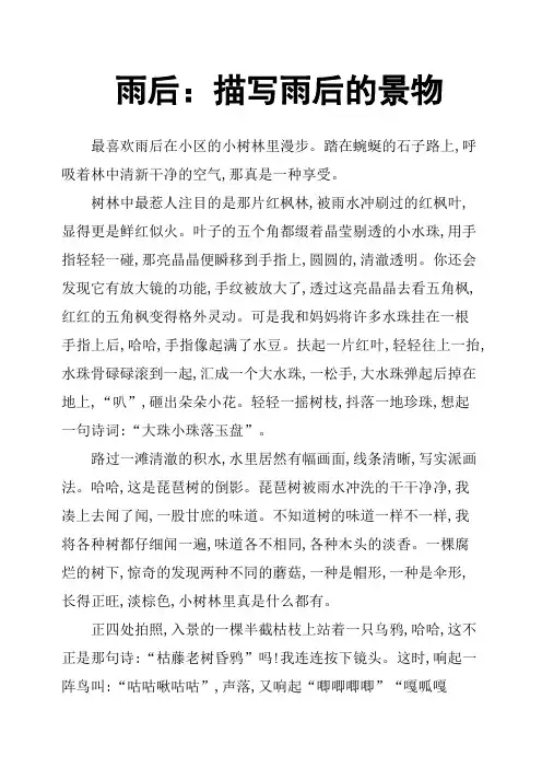 雨后：描写雨后的景物