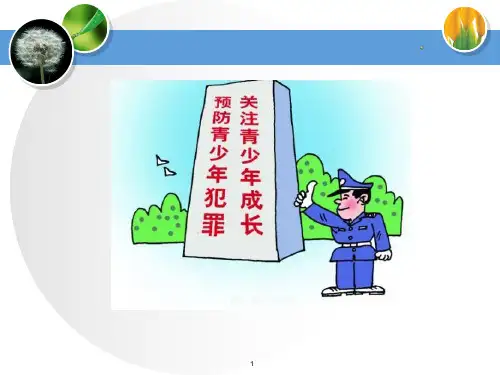 小学生预防未成年人不良行为ppt课件