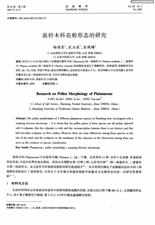 悬铃木科花粉形态的研究