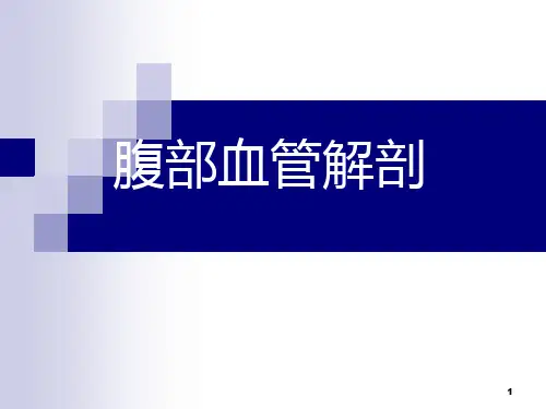 腹部血管解剖(静脉+动脉)PPT参考课件