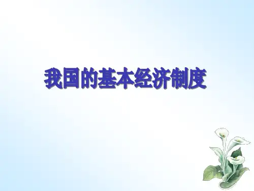 我国的基本经济制度ppt
