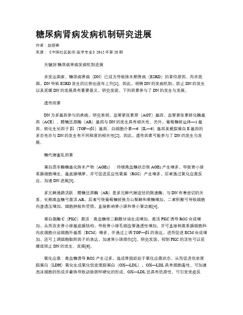 糖尿病肾病发病机制研究进展