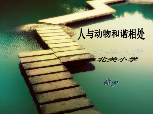 人与动物和谐相处(课堂PPT)