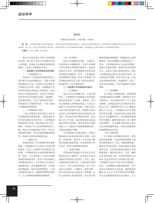 优质高产玉米栽培技术
