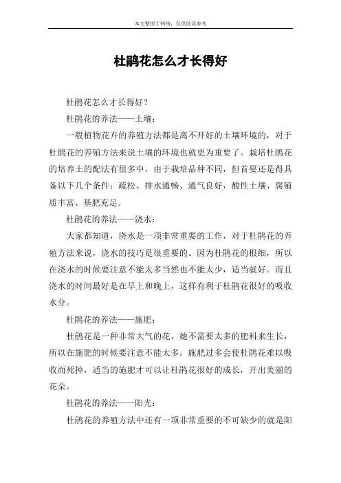 杜鹃花怎么才长得好