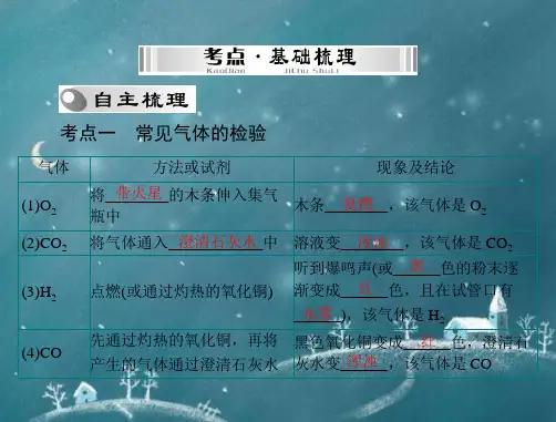 2014年中考化学第一部分第五单元第19讲气体的检验及鉴别配套课件