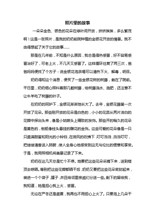 初一作文：照片里的故事作文800字