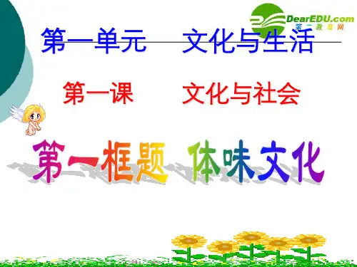 高中政治 第一课第一单元体味文化课件 新人教版必修3