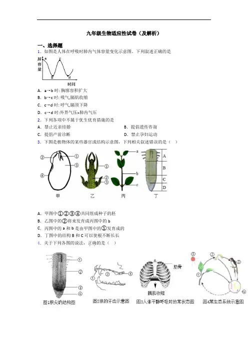 九年级生物适应性试卷(及解析)