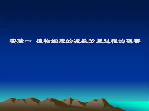 实验一 植物细胞减数分裂过程的观察