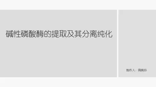 碱性磷酸酶的提取