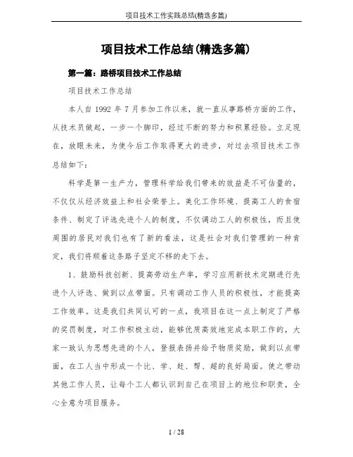 项目技术工作实践总结(精选多篇)