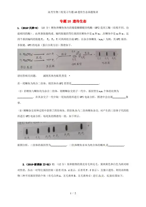 高考生物三轮复习专题10遗传生态真题集训