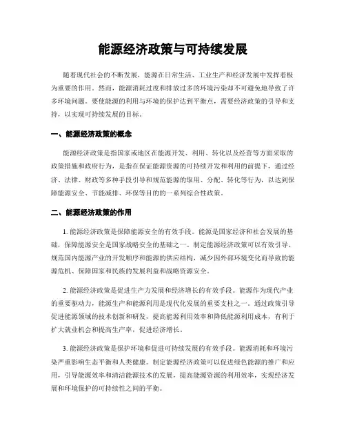 能源经济政策与可持续发展