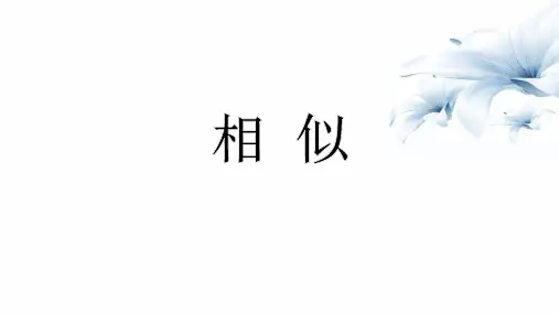 中考数学专题复习《相似(含位似)》课件