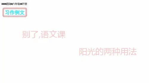2020春部编版六年级语文下册教学课件-第三单元-习作例文