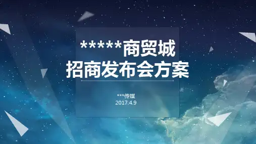 招商发布会方案