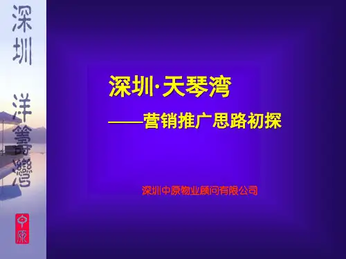 中原房地产深圳天琴湾营销策略思路.pptx