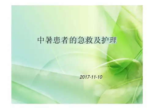 中暑病人的护理